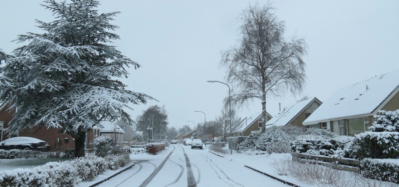 Maandverwachting: vroege lente of winterkou in februari?