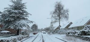 Maandverwachting: vroege lente of winterkou in februari?
