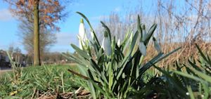 Weekend weer: lenteachtig weekend met flink wat zonneschijn