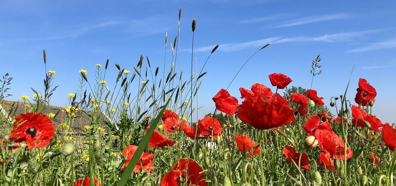 weerfotohemelvaartJB-1280x600