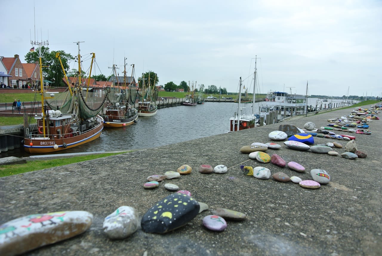 Varen in Friesland. Foto: AdobeStock callahanpatty