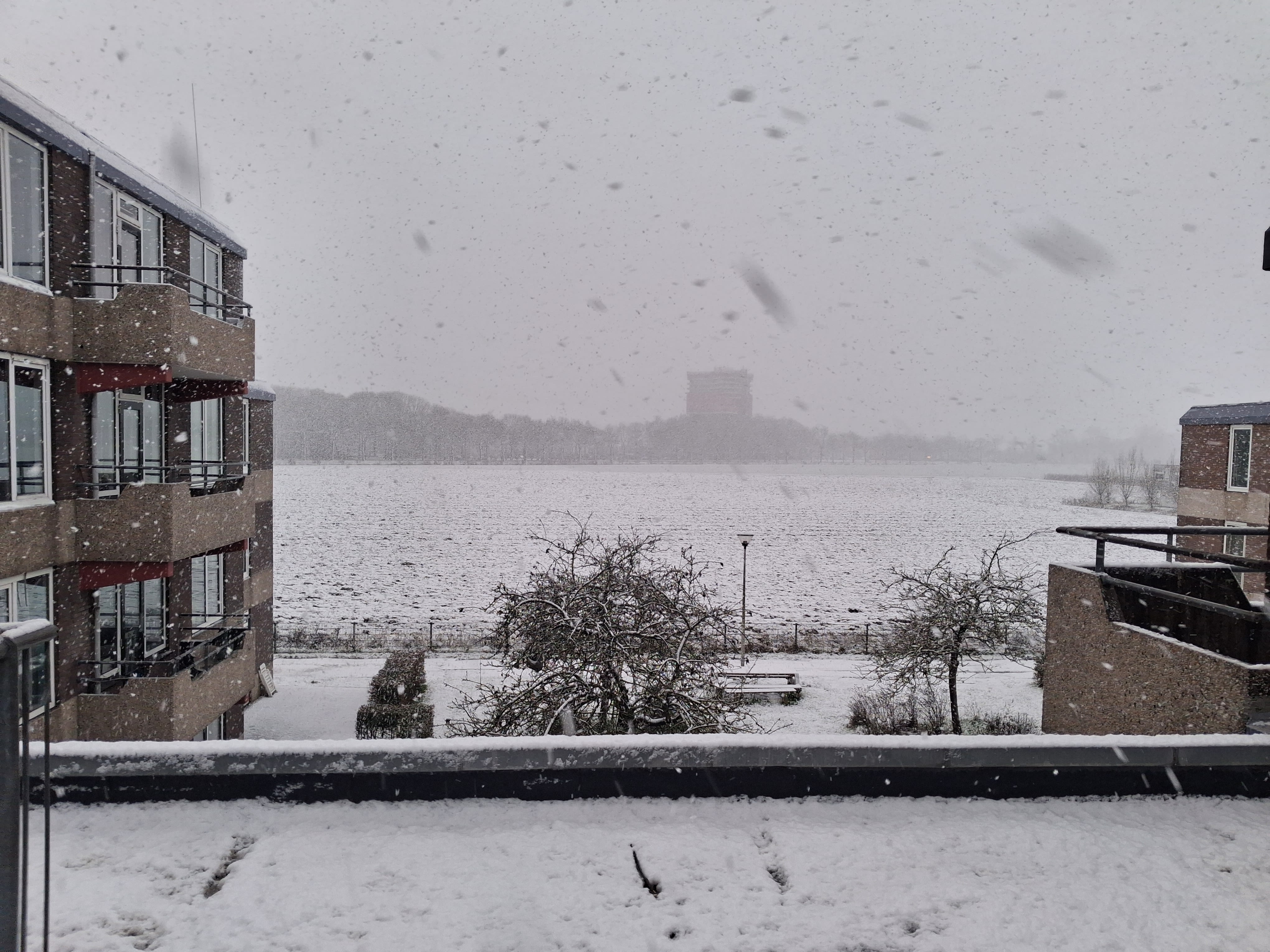 Dikke vlokken in Wageningen. Foto: Manouk Vermeulen