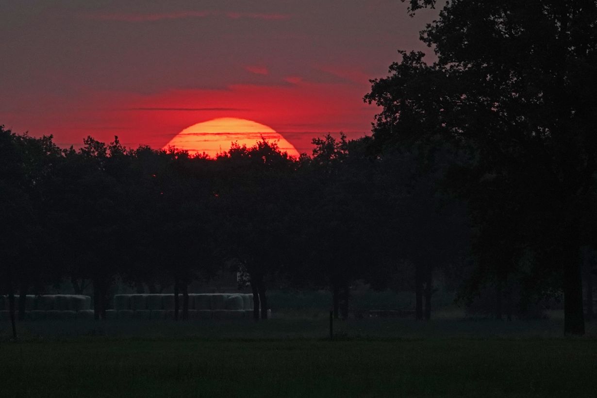 Het was een warme nacht. Foto: Thieu Niellissen