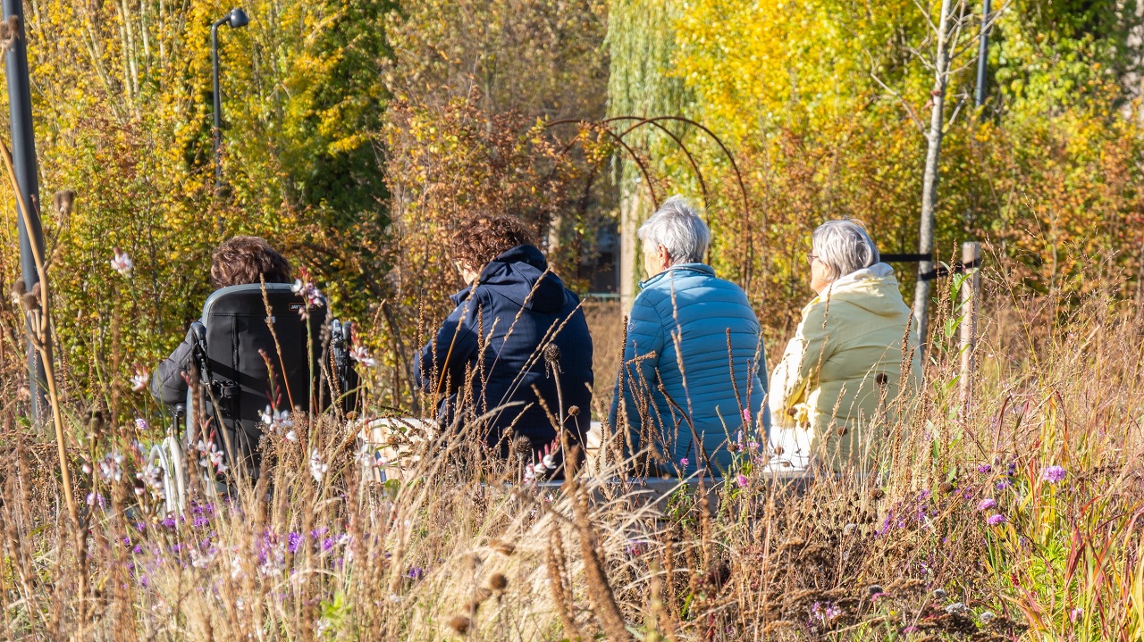Genieten van het zonnetje in deze november. Foto: Jos Hebben
