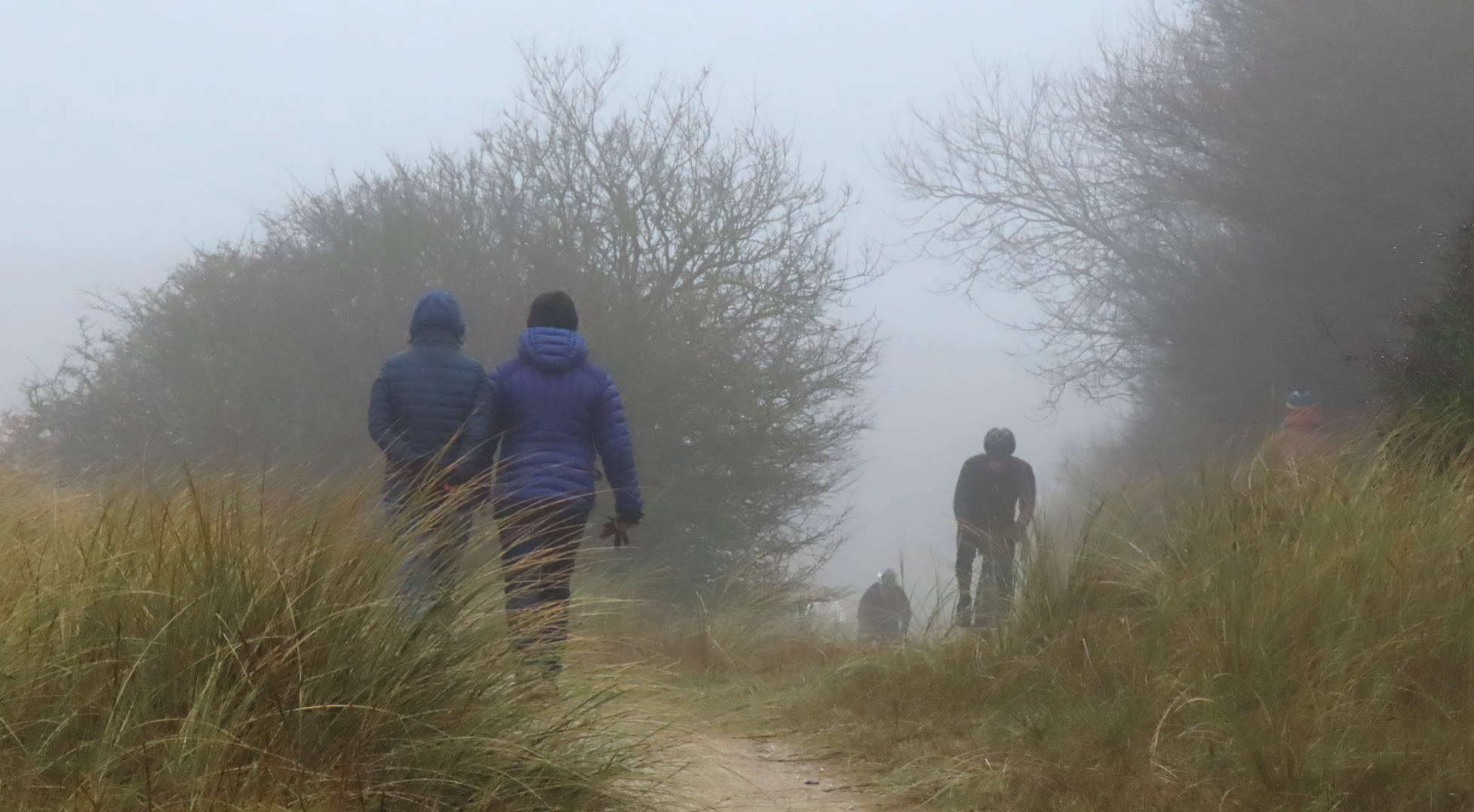 Wandelen in grijs en mistig weer. Foto: Gieny Westra