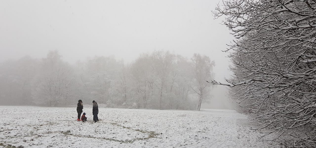 4543cb2a-sneeuw-bij-drielandenpunt-1280x600