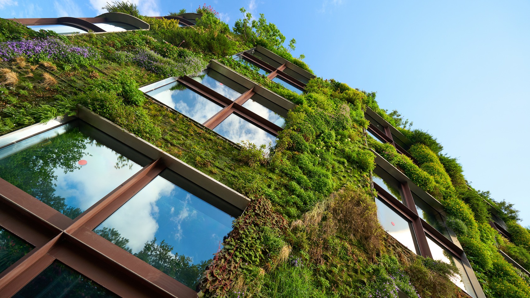 Een verticale tuin heeft veel voordelen. Foto: Adobe Stock / Adam Sébire / Stocksy