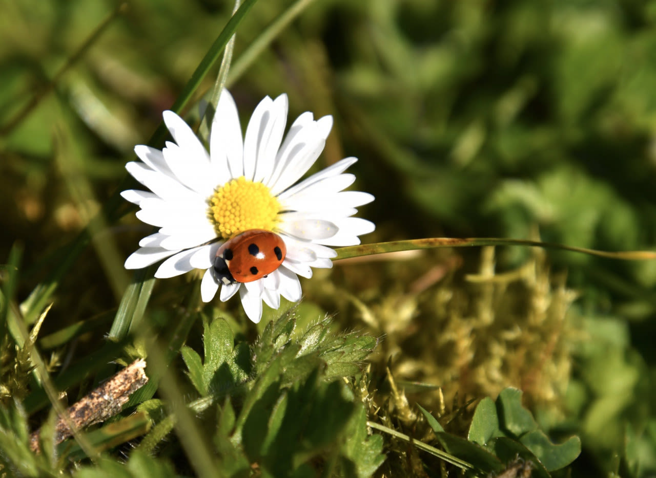 Zo warm wordt het vandaag en komende week