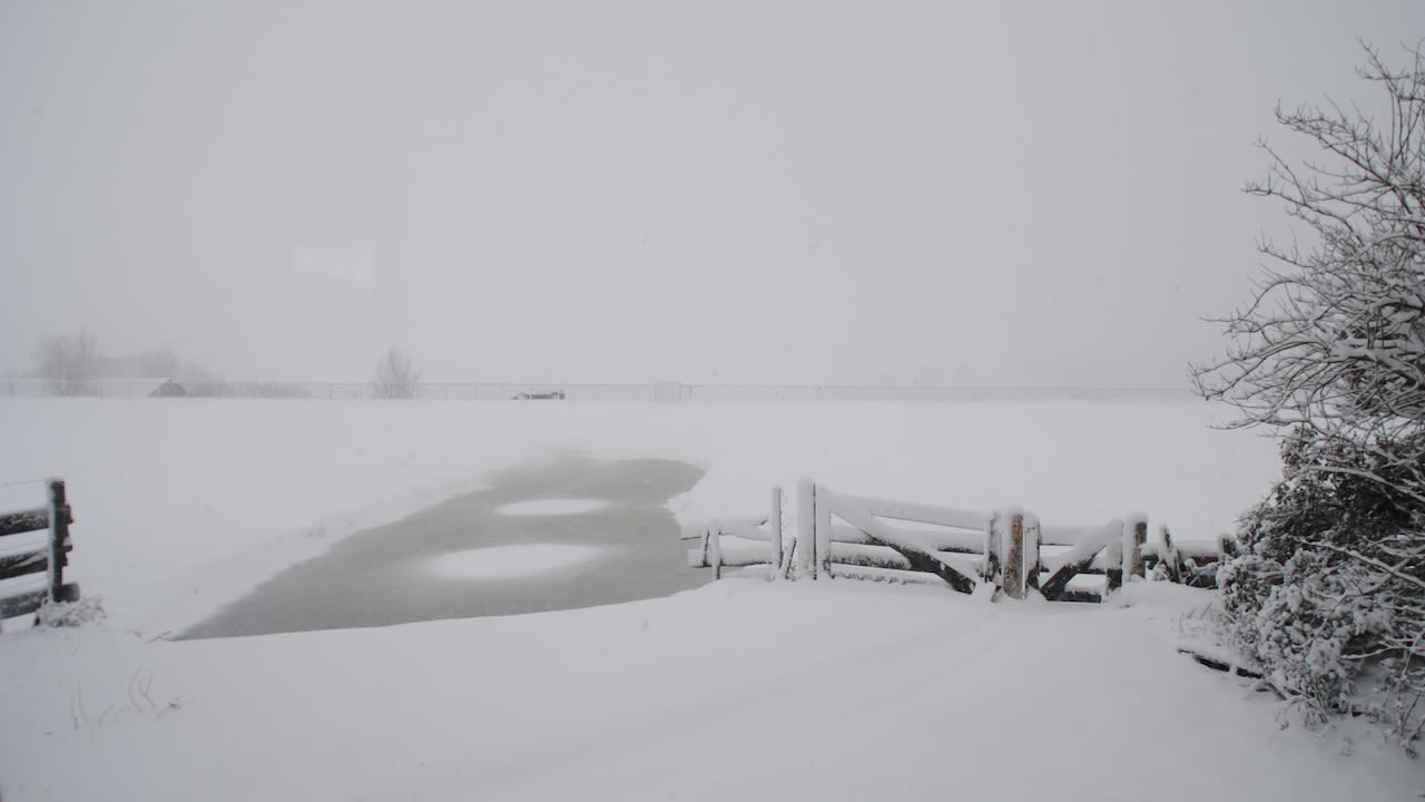 Stil sneeuwlandschap. Foto: Luuk Gransjean