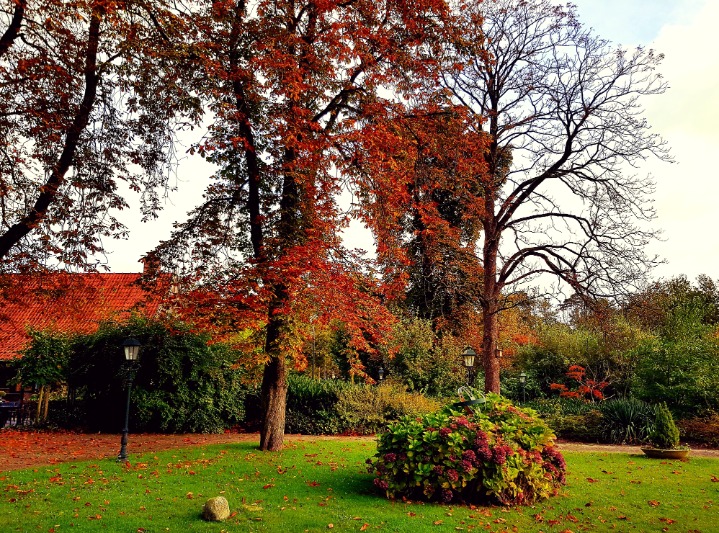Steeds meer herfstkleuren in de natuur. Foto: Marianne Steenbergen van Dijk