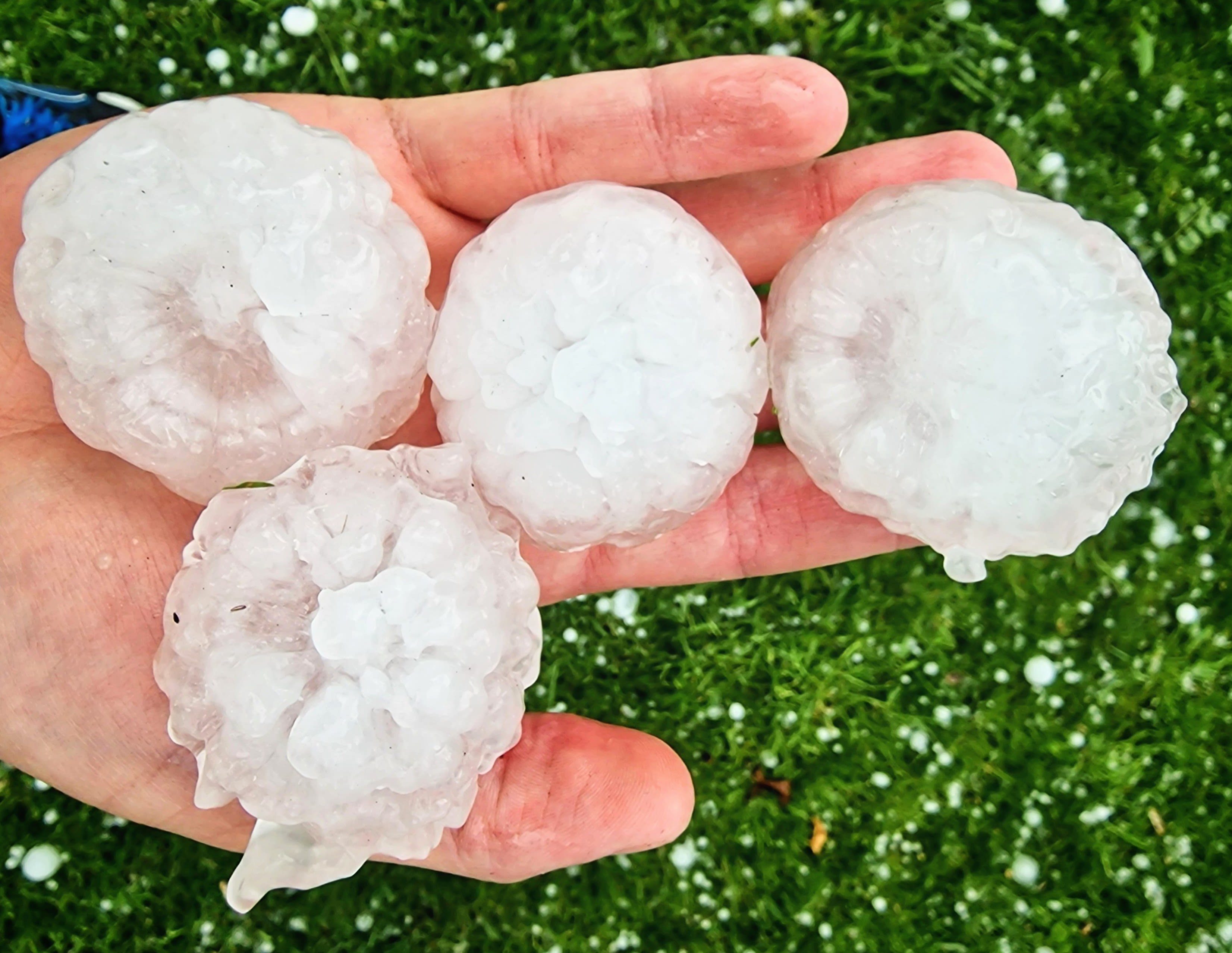 Zomerhagel in Limburg (Wouter van Bernebeek)