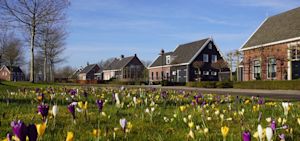 Warmste 21 februari ooit gemeten in De Bilt