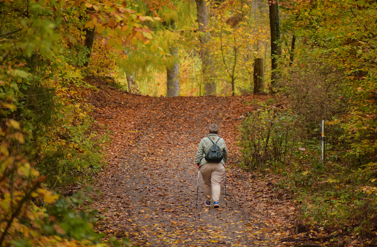 Het is nog altijd zeer zacht met dagelijks maximumtemperaturen boven 10 graden. Foto: Cynthia Leusden