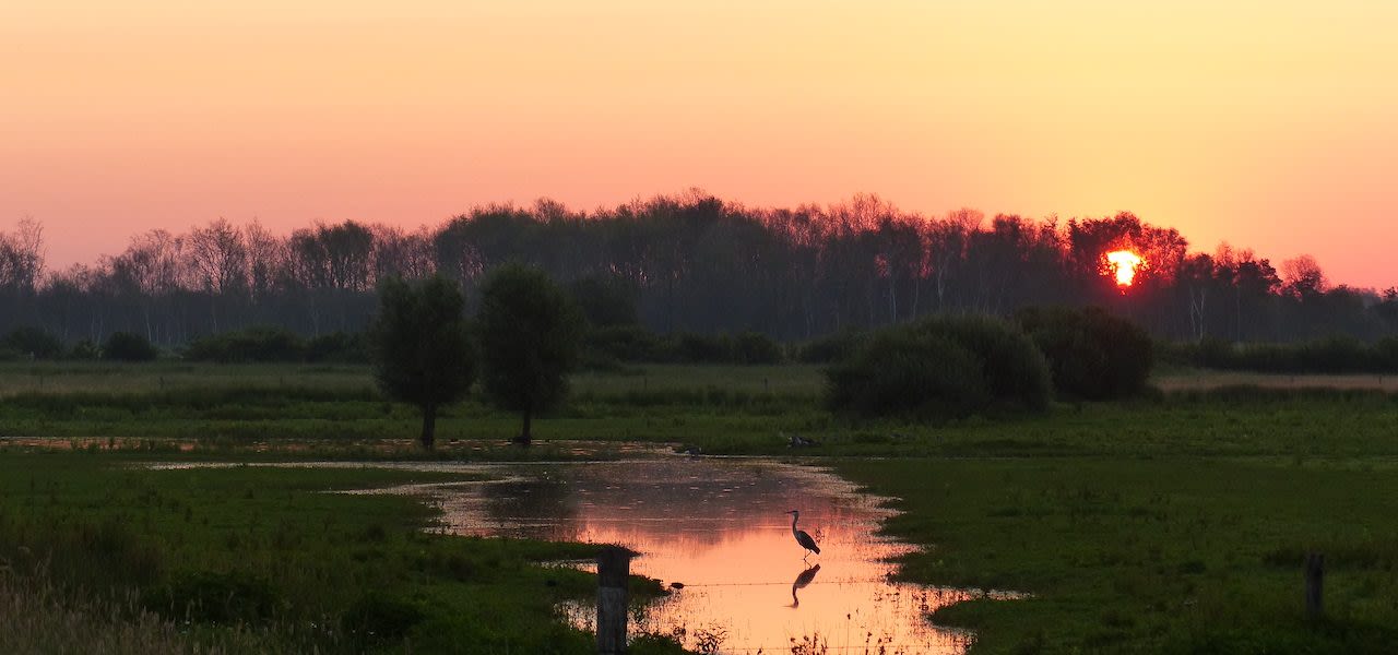 Juni-bijzonder-warm-vrij-nat-en-vrij-zonnig-Truus-Linders-1280x600