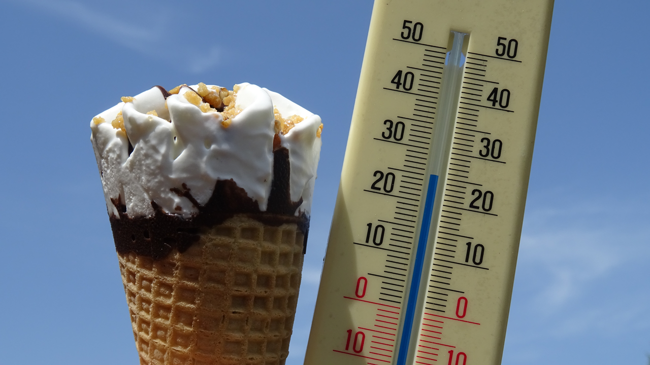 Het is een zomerse dag. Foto: Albert Thibaudier