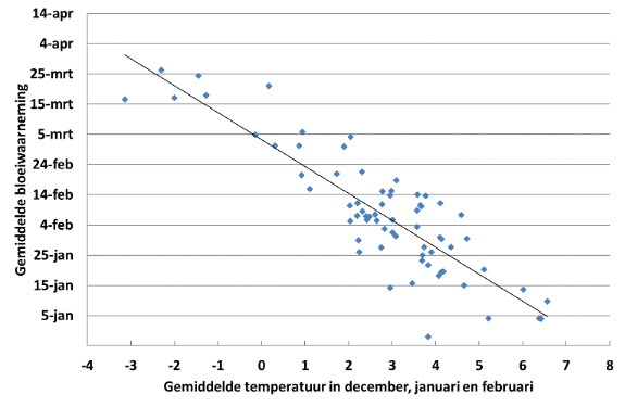c045ff2f-relatie-temperatuur-en-bloei-hazelaar
