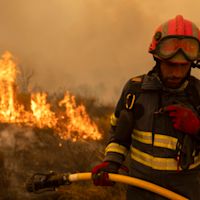 Groot aantal bosbranden in Spanje, militaire noodhulp ingezet