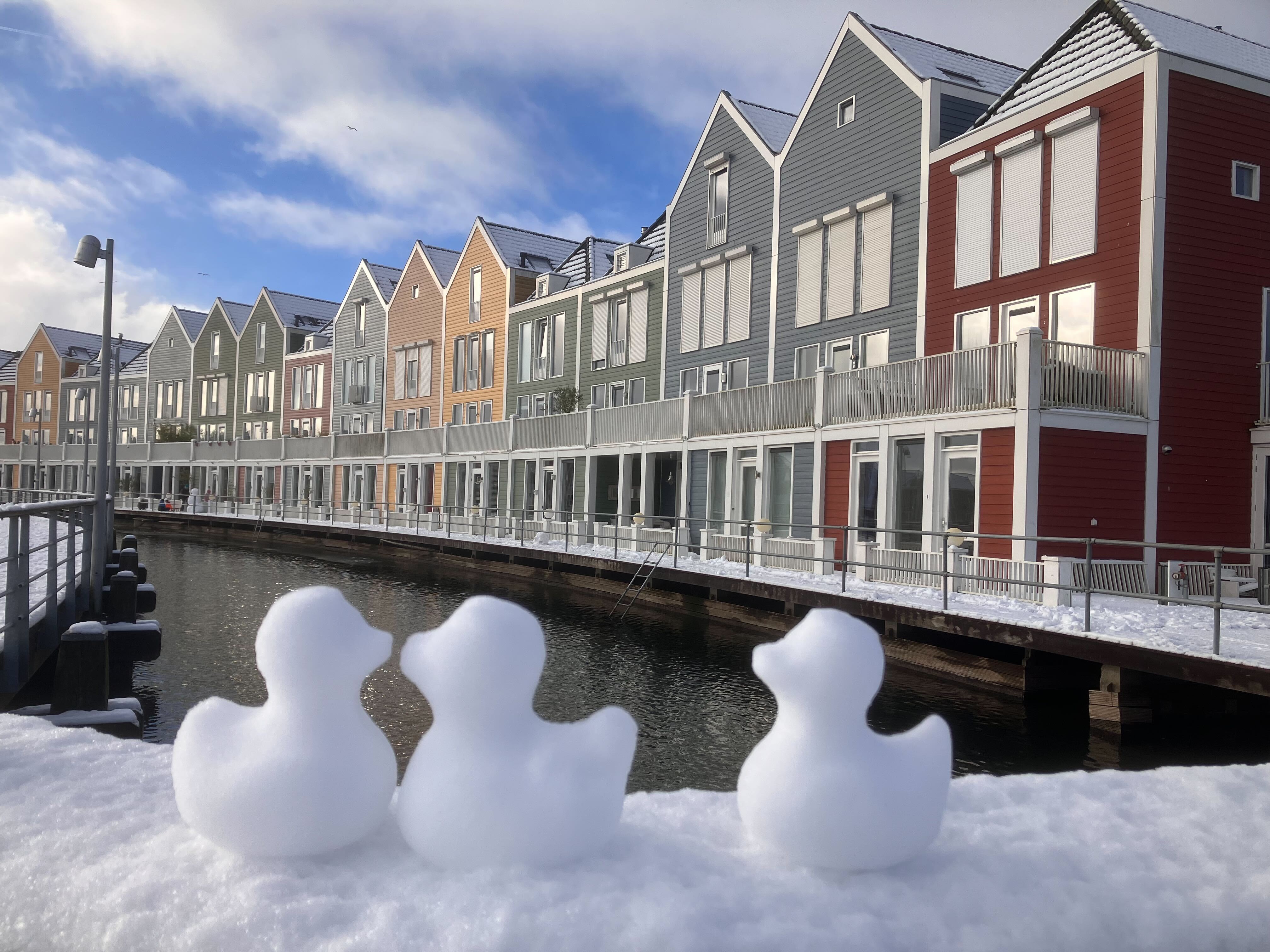 Sneeuwsculpturen Houten. Foto: Johnny Willemsen.