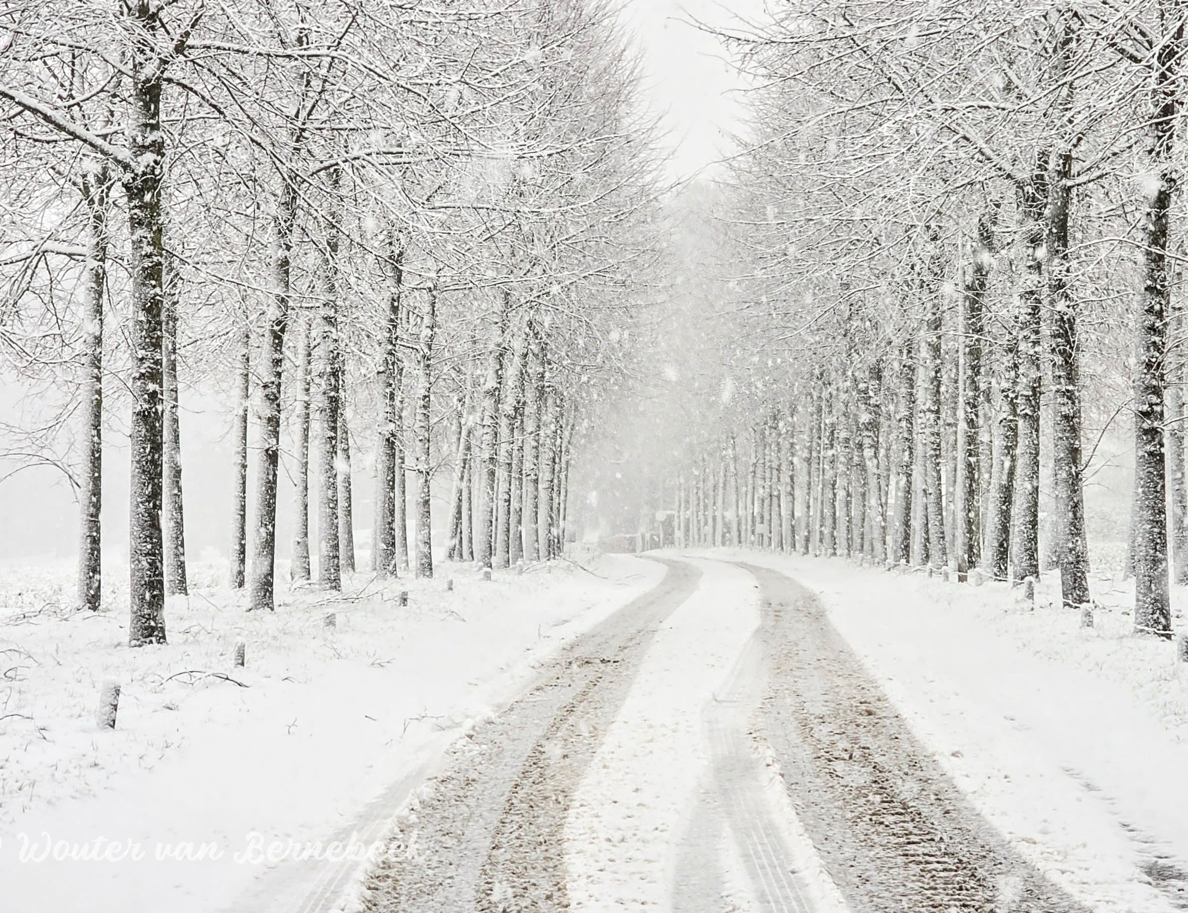Op 3 januari trokken talrijke sneeuwbuien over het land. Foto: Wouter van Bernebeek