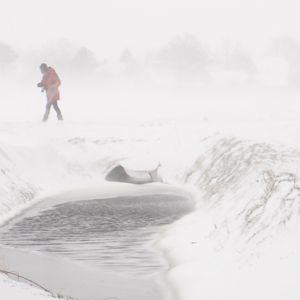 Terugblik februari 2021: zo raasde sneeuwstorm Darcy over ons land!