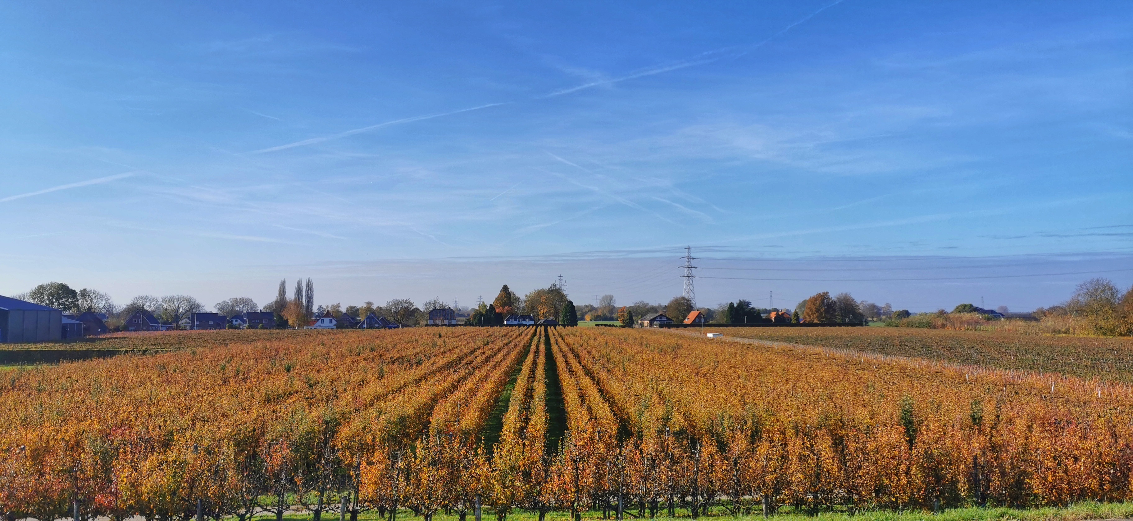 48-uurs Weersverwachting Barendrecht | Weeronline