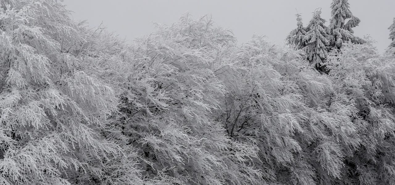 Feldberg-1280x600