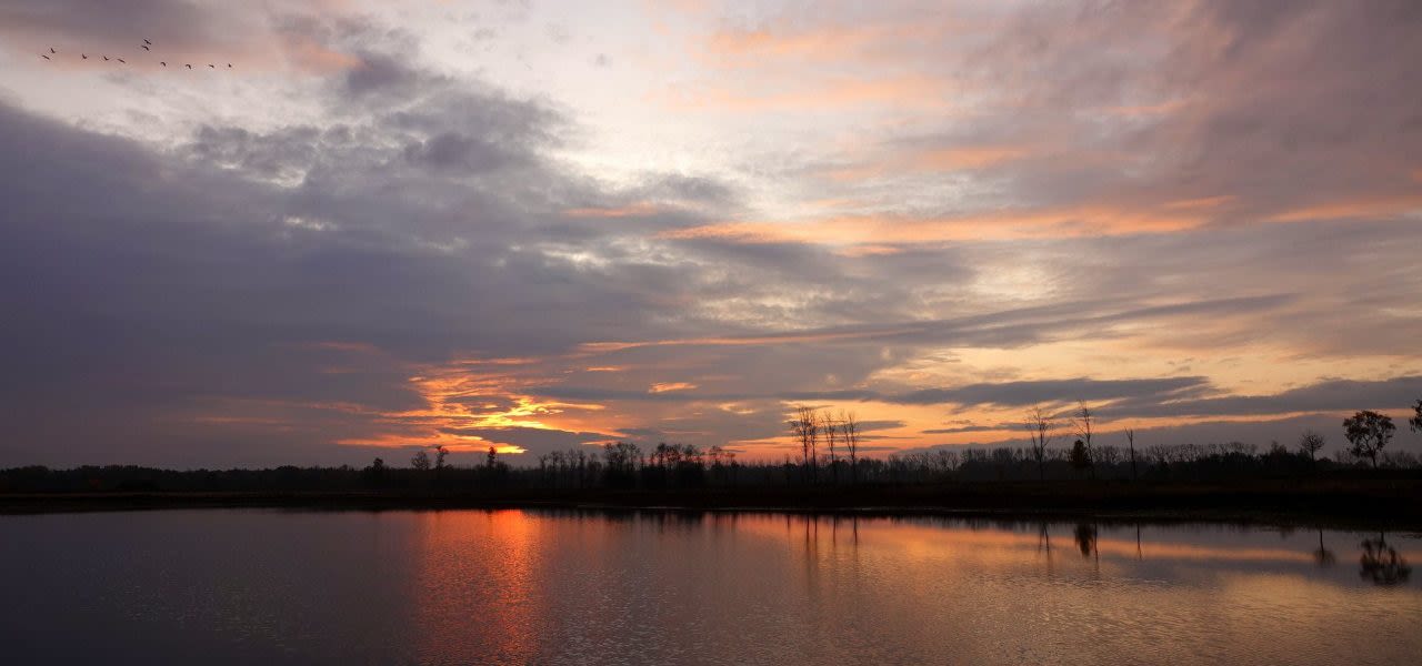 Tweede-jaar-op-rij-zonder-herfststorm-1280x600