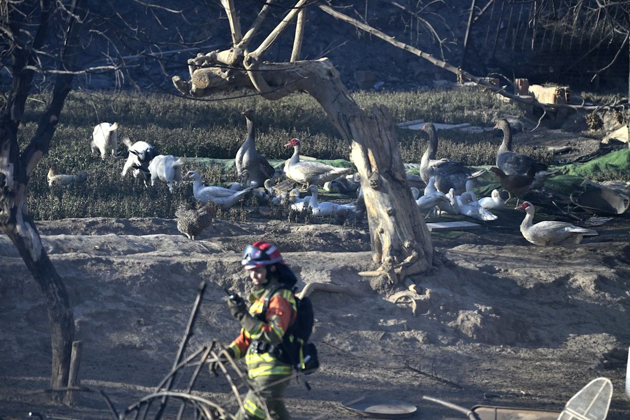 Foto via ANP: Jose JORDAN / AFP