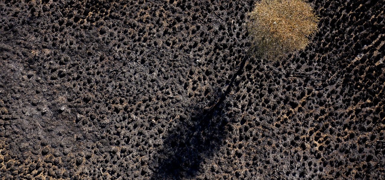 natuurbrand-Peel-1280x600