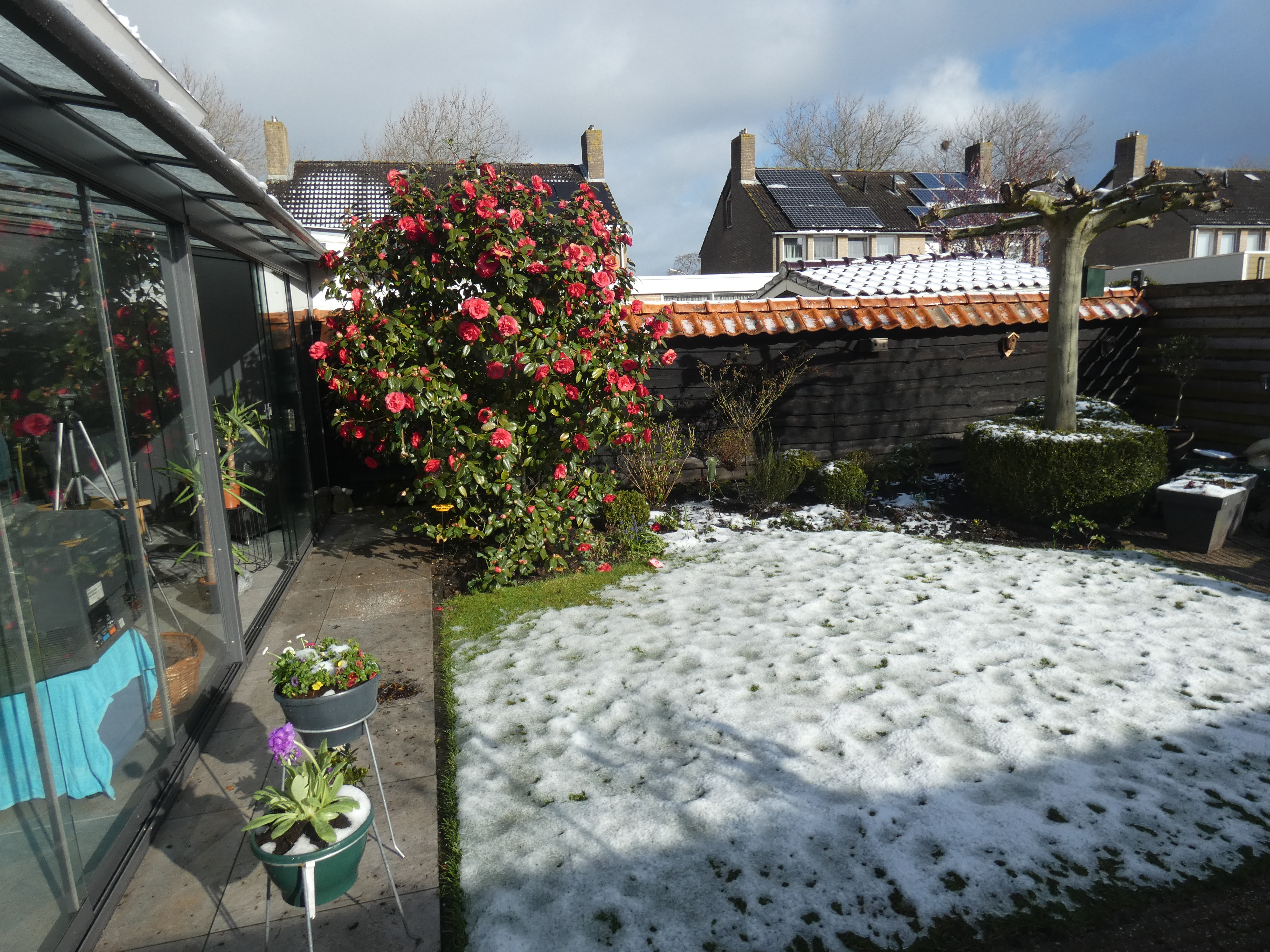 april sneeuw lente