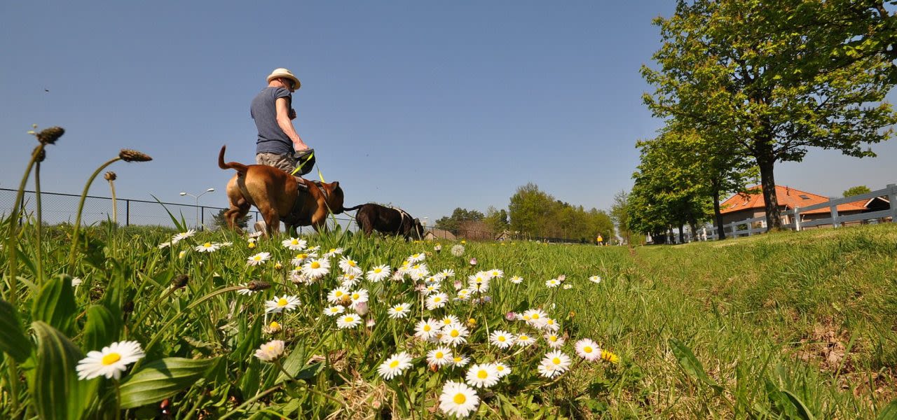 Ben-Saanen-weer-in-mei-vaak-mooi-met-veel-zon-en-warm-1280x600