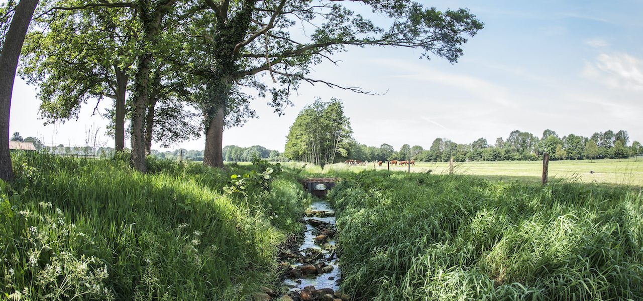 Droogte-en-neerslagtekort-1280x600