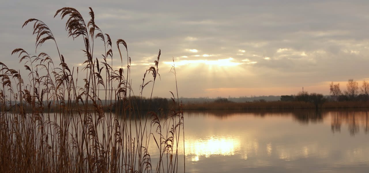 januarioverzichtfoto-1280x600