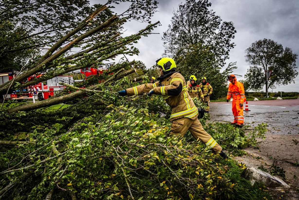 Veel omgewaaide bomen. Foto: Jeffrey Groeneweg / ANP