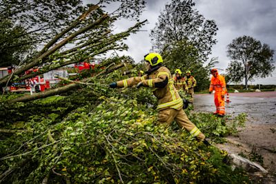 Veel bomen omgewaaid door herfststorm Austen