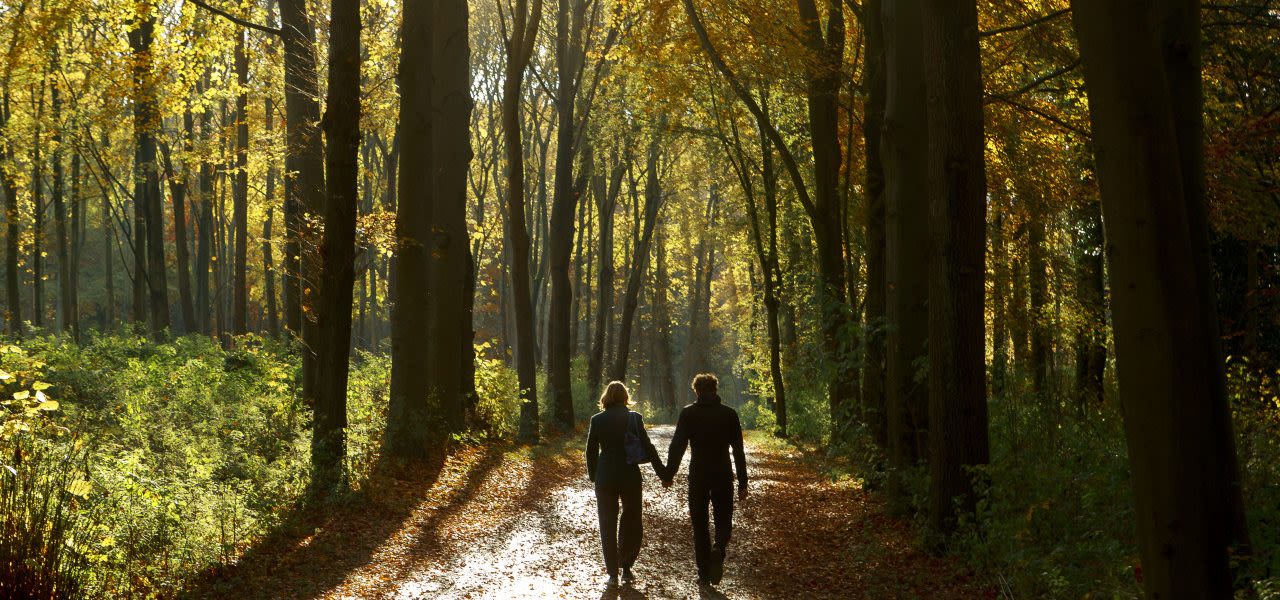 Herfst-november-1280x600
