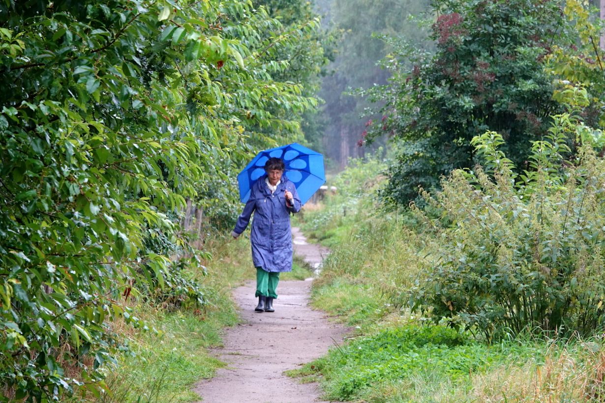 Nat en koel zomerweer in de hoogzomer