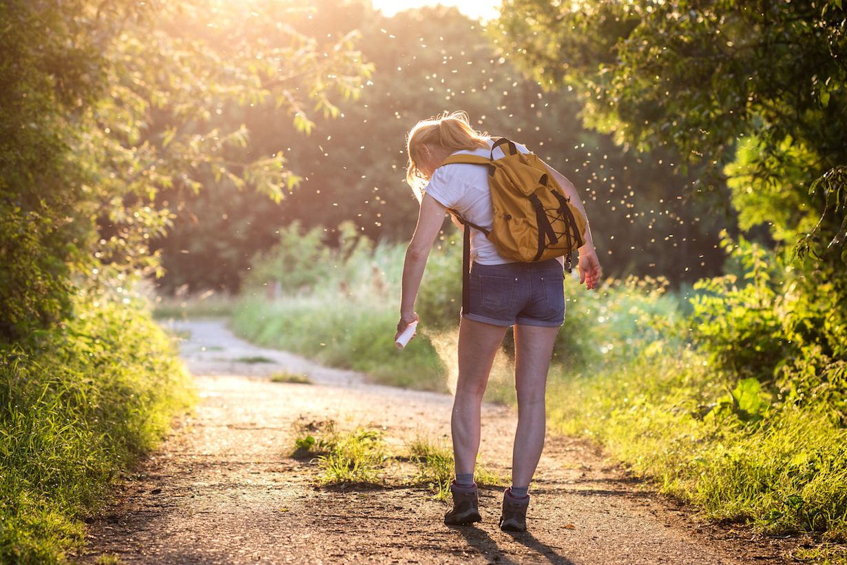 Veel muggen op een warme lente- of zomeravond. Foto: Adobe Stock / Encierro.