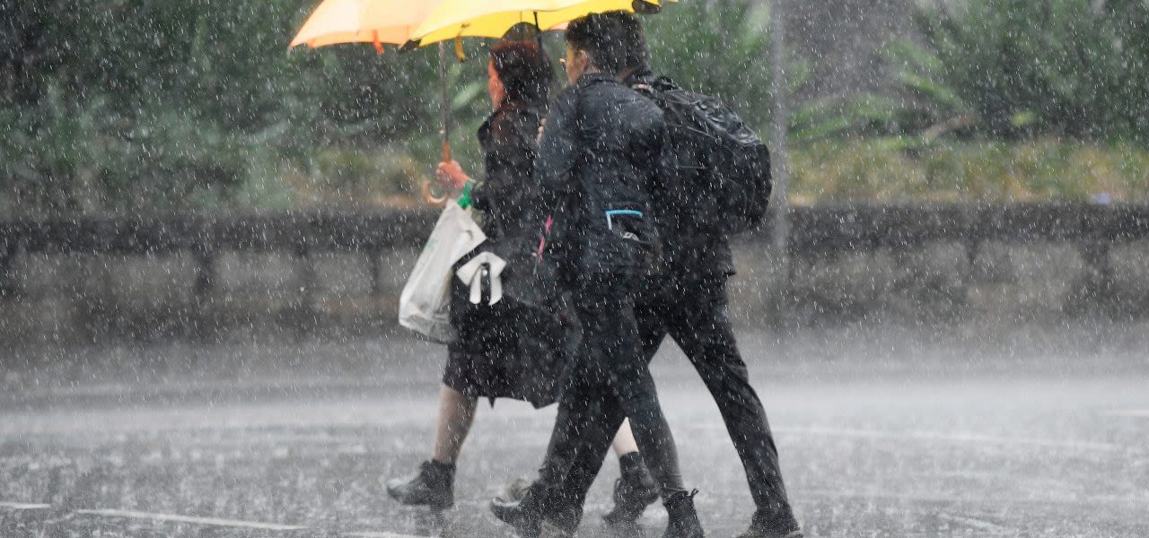 Regen-in-Nieuw-Zeeland-1280x600