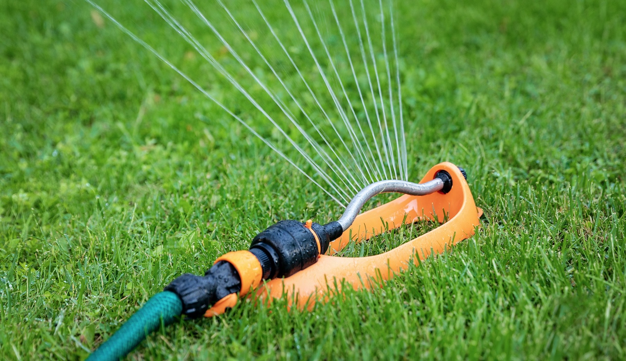 Hoe Vaak Moet Je Bij Droogte De Tuin Sproeien?