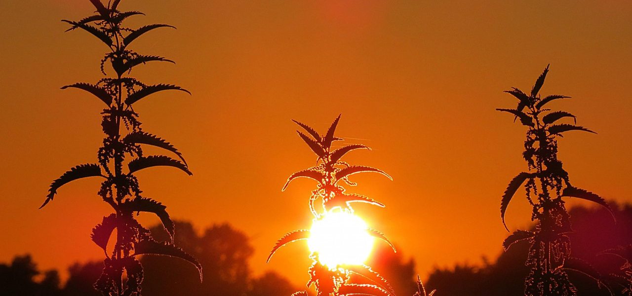 Dit is waarom de lucht bij zonsopkomst en zonsondergang rood kleurt