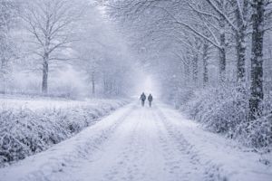 Zachte winter met vorst en sneeuw