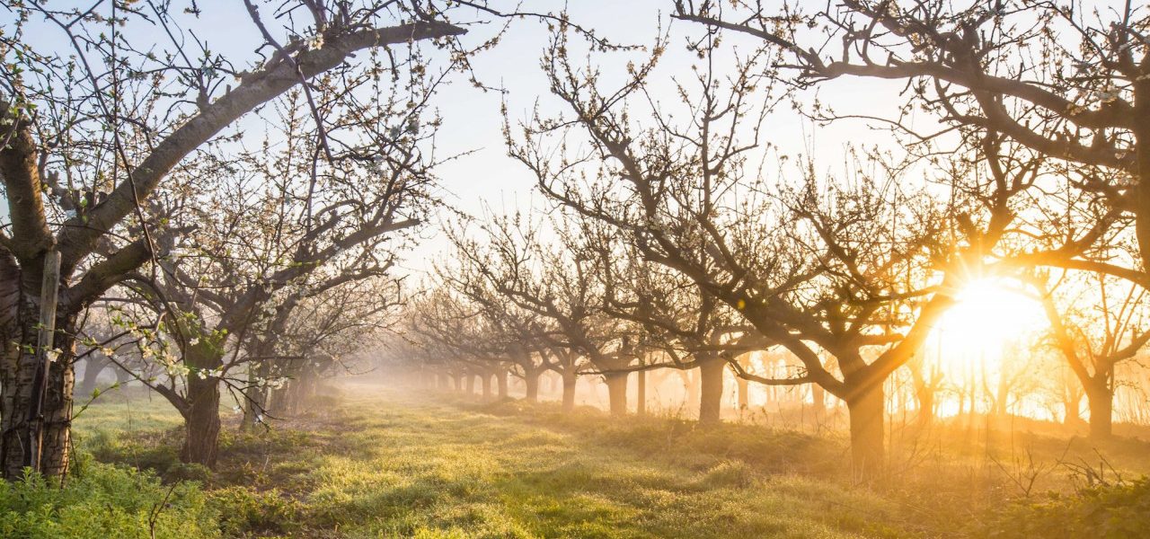 Zoveel zon heb je nodig om vitamine D aan te maken