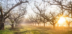 Zoveel zon heb je nodig om vitamine D aan te maken