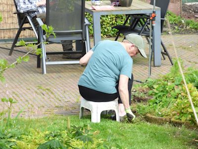 Mei een topmaand voor tuinieren
