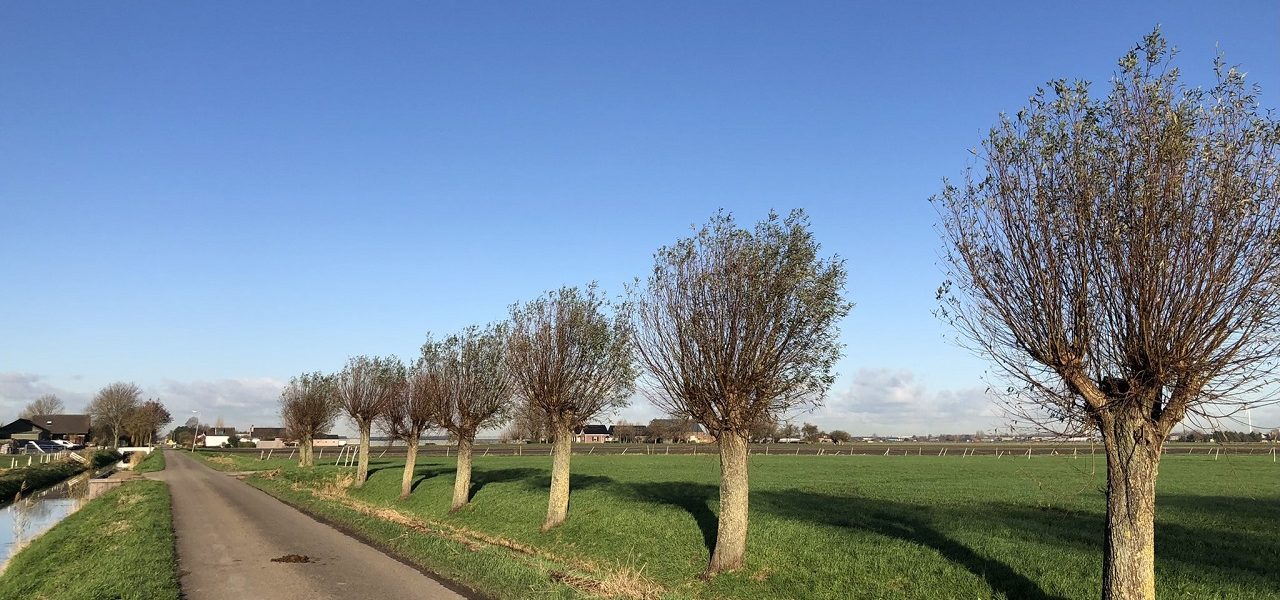 Klimaatverandering: herfst is 0,9 graden opgewarmd
