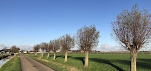 Klimaatverandering: herfst is 0,9 graden opgewarmd