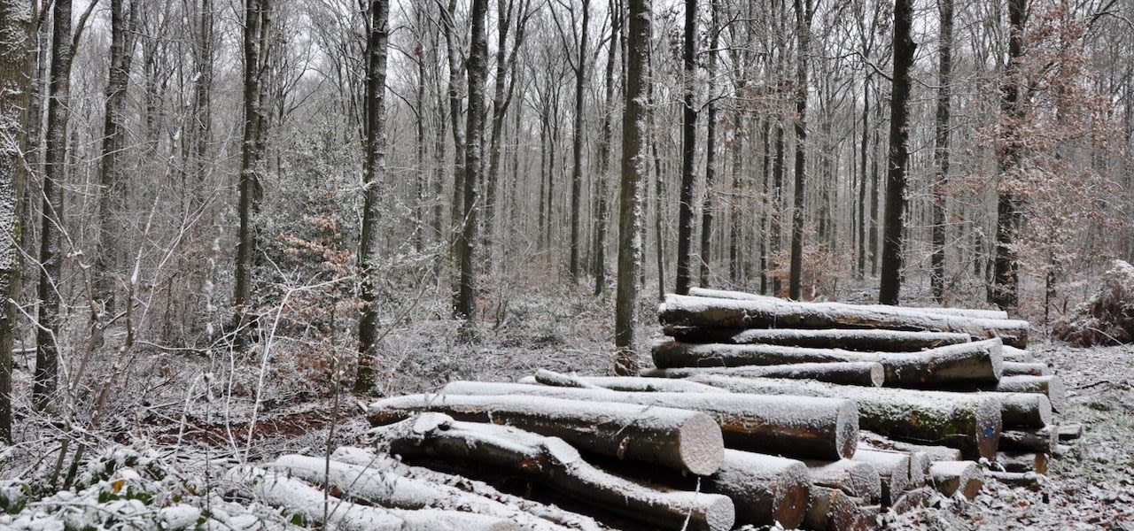 0d5d6963-marina-nefkens-beetje-sneeuw-vandaag-in-nederland-verkleind-1280x600