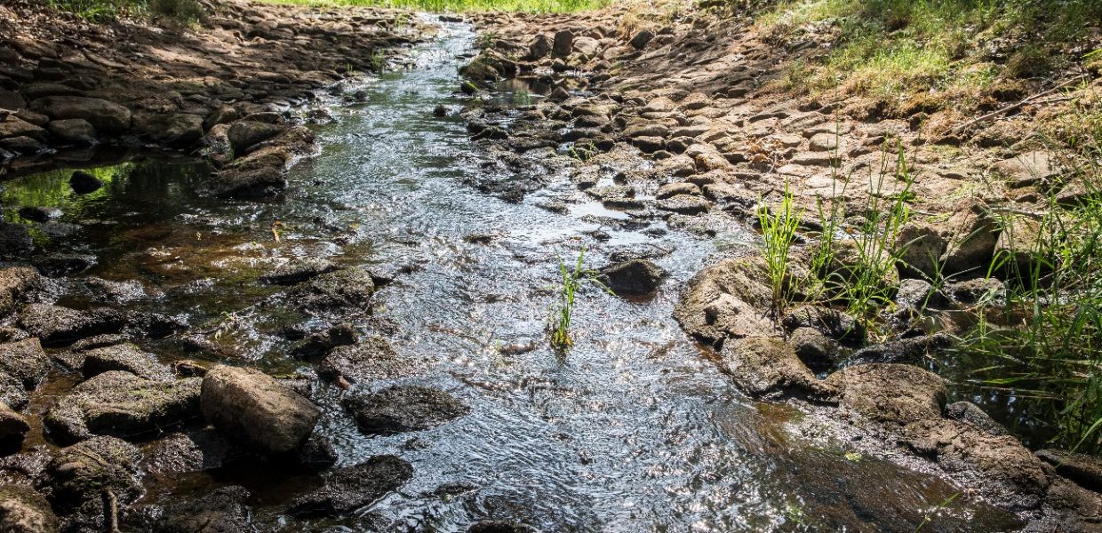 Neerslagtekort in droogste regio’s niet gelijk opgelost met regen