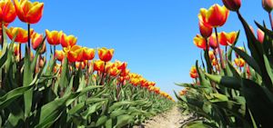 De warmste lentes ooit gemeten